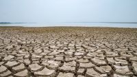 Brasil registra quase 500 municípios em seca severa ou extrema