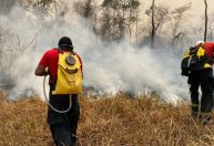 "Foco de calor agora está no sul da Amazônia", diz presidente do Ibama
