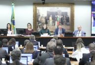 Câmara retoma debate sobre comando de comissões nesta terça (18)