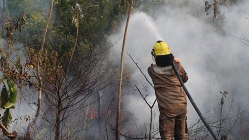 Bombeiros atuam no combate às chamas no Amazonas