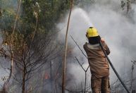 BNDES aprova R$ 180 milhões do Fundo Amazônia para Corpos de Bombeiros de 4 estados