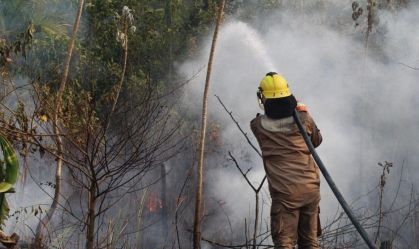 BNDES aprova R$ 180 milhões do Fundo Amazônia para Corpos de Bombeiros de 4 estados