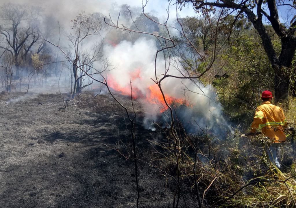 Governo de SP emite alerta de risco elevado de incêndios florestais para 16 regiões