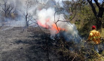 Com tempo seco, SP emite alerta para incêndios florestais; veja regiões de risco
