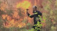 Bombeiros controlam incêndios florestais em partes da Turquia, diz ministro