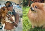 Lauana Prado lamenta morte de cadela Belinha: "Aperto no coração"