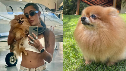 “Hoje, minha princesinha virou estrela e vai enfeitar o céu com toda sua doçura e beleza. Meu coração está dilacerado, mas tenho fé que você descansou", escreveu a cantora