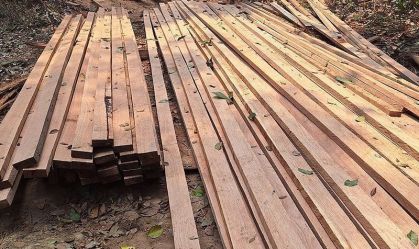 Prisão foi efetuada a 332 quilômetros de Manaus