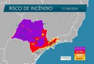 Incêndios em SP: seis cidades estão com focos ativos, diz Defesa Civil