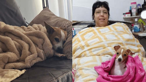 Internautas usaram as redes sociais para relatar com memes seus sentimentos com o frio
