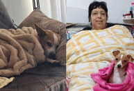 "Isfriou, né"? Queda de temperatura gera memes na web; veja os melhores
