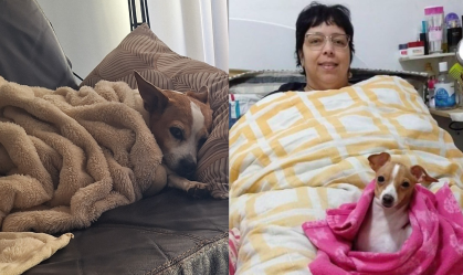 Internautas usaram as redes sociais para relatar com memes seus sentimentos com o frio