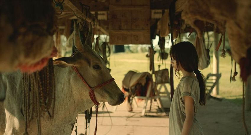 "Minha Mãe é uma Vaca" será exibido em Veneza • Divulgação