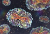 OMS declara mpox como emergência de saúde pública global