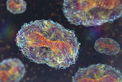 Mpox: surgimento de nova variante é motivo de preocupação?