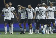 Libertadores: Botafogo leva novo susto do Palmeiras, mas vai às quartas de final
