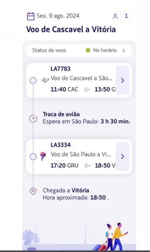 Bilhete de embarque de passageiro que perdeu o voo / Reprodução