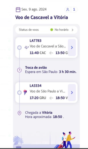 Bilhete de embarque de passageiro que perdeu o voo / Reprodução