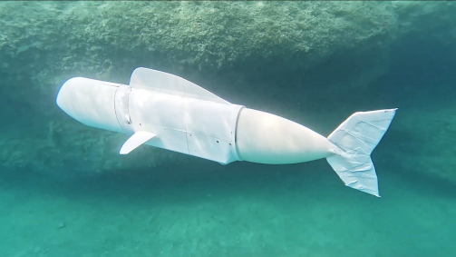 Eve balança sua cauda de silicone de um lado para o outro, movida por bombas escondidas em seu interior, enquanto desliza suavemente pelas águas frias do Lago Zurique