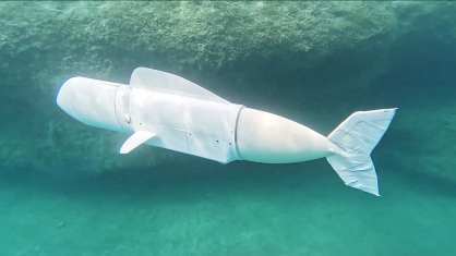 Eve balança sua cauda de silicone de um lado para o outro, movida por bombas escondidas em seu interior, enquanto desliza suavemente pelas águas frias do Lago Zurique