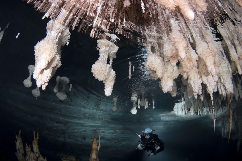 Depósitos minerais em espeleotemas crescem exatamente ao nível do mar, como pode ser visto na imagem acima do mergulhador na Galeria de les Delícies • M.À. Perelló via CNN Newsource