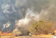 É errado dizer que só as condições climáticas levaram às queimadas, diz professora à CNN