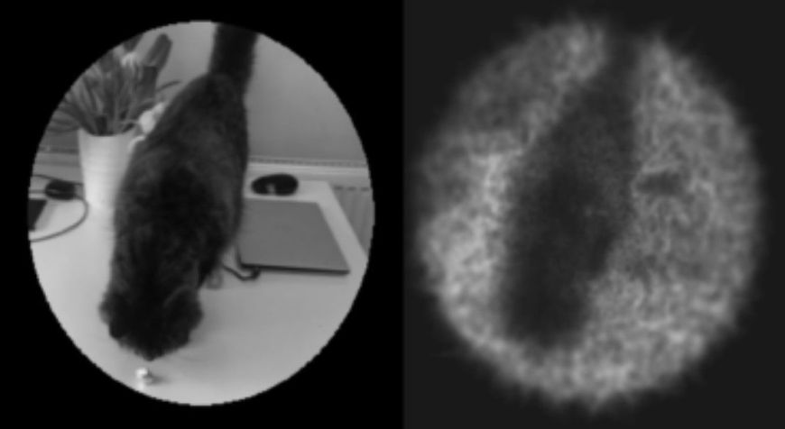 À esquerda, é mostrado o resultado de uma imagem com 45 mil pixels; à direita, está a mesma imagem na simulação de 45 mil eletrodos conectados a um córtex visual.  (Crédito: Ione Fine / Universidade de Washington)