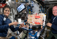 Presos no espaço: veja o que os astronautas da Starliner estão pesquisando