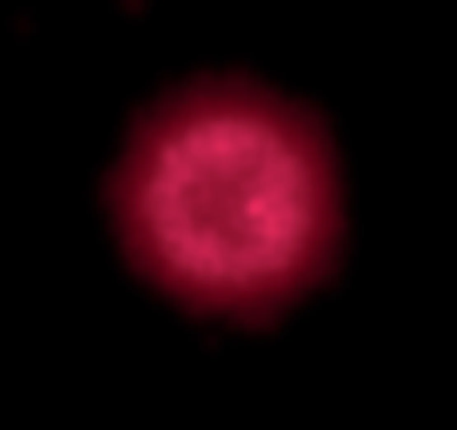Supernova SN1181 apareceu no céu noturno em 1181 d.C., e sua nebulosa continua a brilhar; Wide-field Infrared Space Explorer da Nasa capturou a nebulosa em luz infravermelha / Nasa/JPL/Caltech