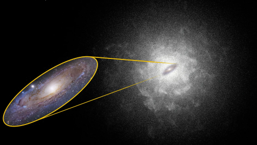 Quando o Telescópio Espacial Nancy Grace Roman for lançado, ele poderá usar seu amplo campo de visão para capturar imagens abrangentes de halos estelares de galáxias mais distantes