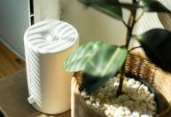 Além do umidificador: 7 dicas práticas para manter a umidade do ar