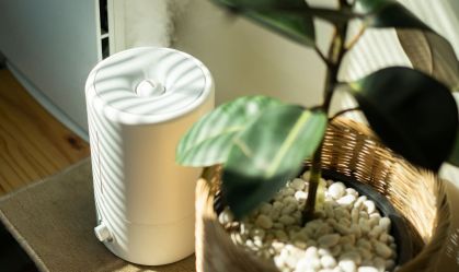 Além do umidificador: 7 dicas práticas para manter a umidade do ar