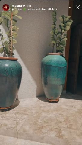 Cantora se espantou com vaso que tinha o seu tamanho / Instagram/Maiara