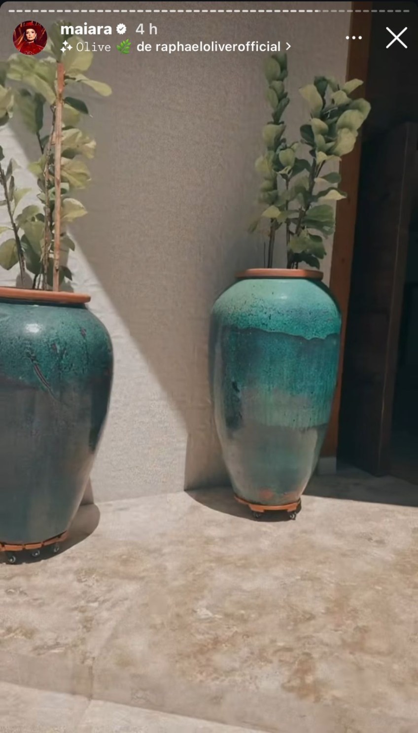 Cantora se espantou com vaso que tinha o seu tamanho / Instagram/Maiara