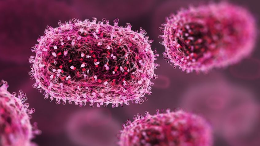 Vírus causador da mpox está na lista da OMS de patógenos com alto risco de causar pandemias • SERGII IAREMENKO/SCIENCE PHOTO LIBRARY/GettyImages