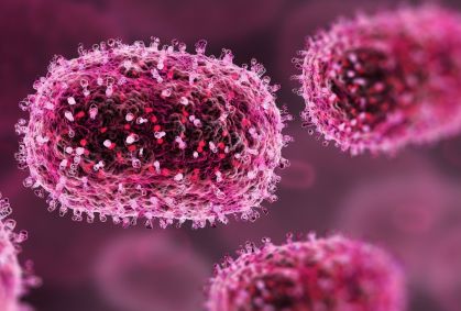 Mpox: veja sintomas e comparação com números de casos no ano passado