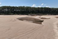 Rios secam e Amazônia pode ter seca como nunca vista antes na história
