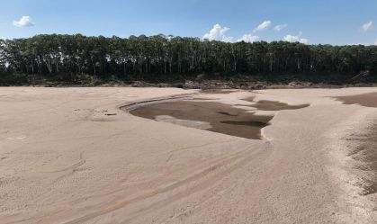 Rios secam e Amazônia pode ter seca como nunca vista antes na história