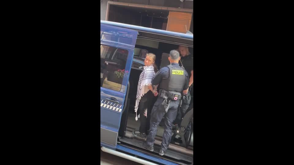 Danish police detain activist Greta Thunberg during Gaza war protest
