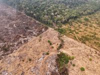 El Niño traz risco de seca e incêndios florestais ao Amapá, aponta Censipam