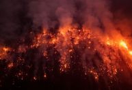 Waack: Imagem do Planalto na questão ambiental já virou cinzas