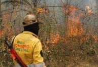 Bolívia está perto de quebrar recorde de incêndios florestais