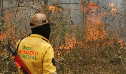Bolívia venderá US$ 5 bi em créditos de carbono para conter desmatamento