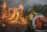 Como atuam as prefeituras no combate aos incêndios florestais e queimadas?