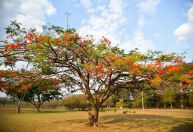 Chegada da primavera traz expectativa de melhora do calor e tempo seco