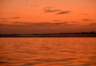 Seca altera temperatura da água no Amazonas; mais de 300 botos morreram