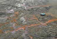 Justiça climática: o que está em jogo entre países ricos e pobres na COP30