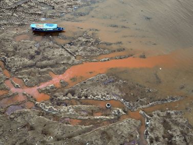 Seca extrema afeta principais rios do bioma amazônico pelo segundo ano consecutivo
