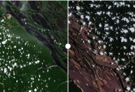 Antes e depois: principais rios da Amazônia encolhem em seca histórica