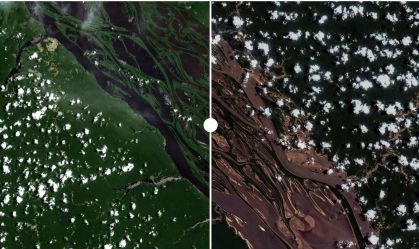 Antes e depois: principais rios da Amazônia encolhem em seca histórica